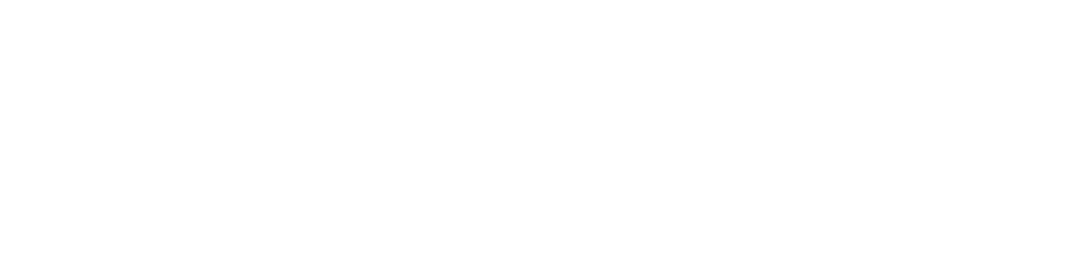 Steelway Logo White